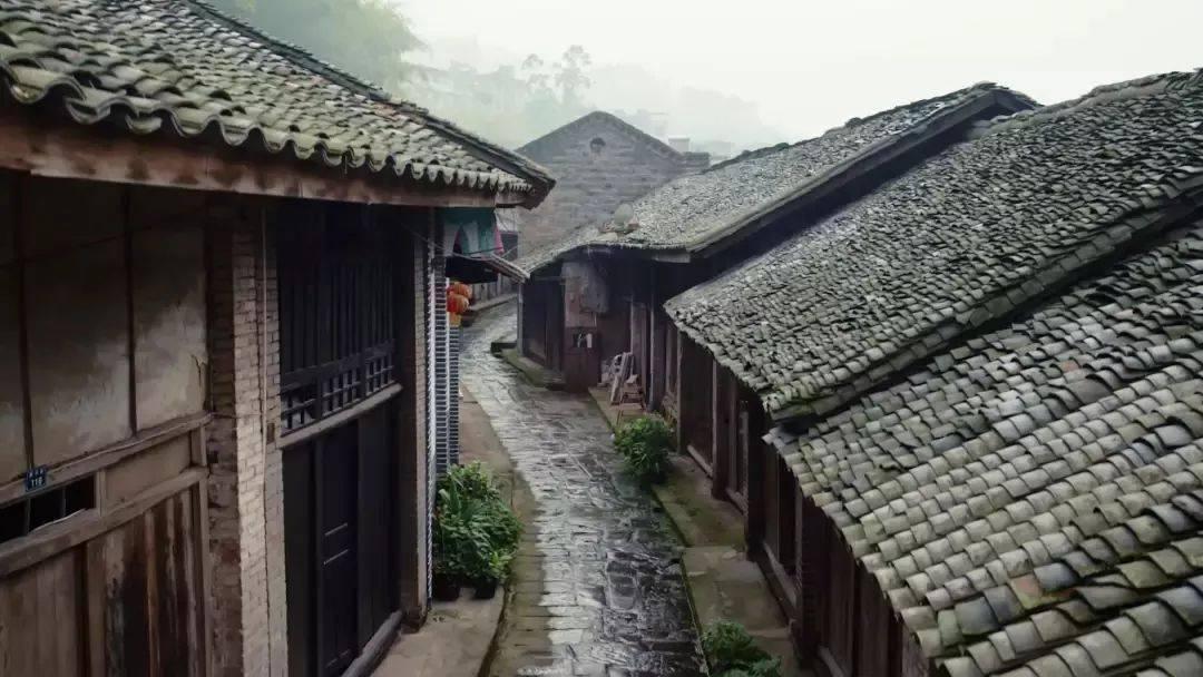 智慧问答网-鱼肉价格上涨,会影响你购买鱼类吃用吗?的专业问答平台